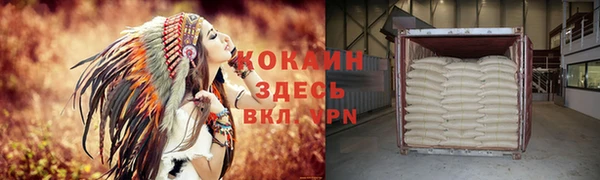 прущие грибы Магас