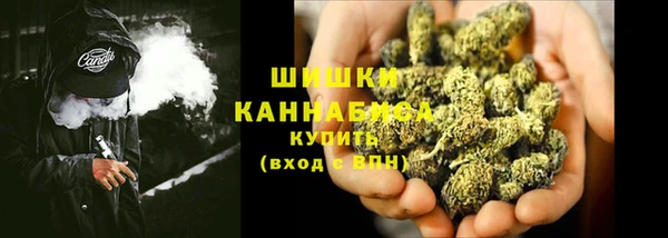 прущие грибы Магас