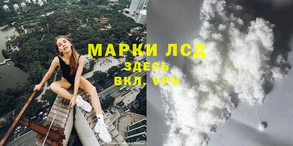 прущие грибы Магас