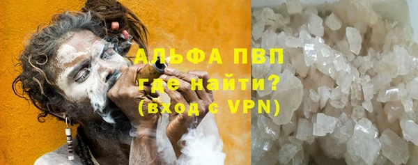 прущие грибы Белокуриха