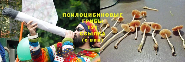 spice Майский