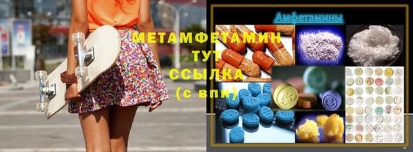 прущие грибы Магас