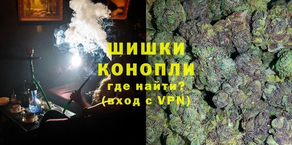прущие грибы Магас
