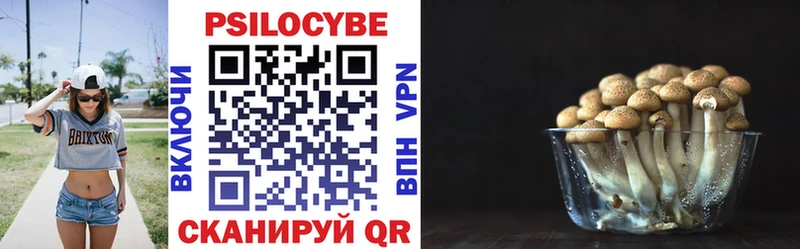 Псилоцибиновые грибы Cubensis  Купить где  Барабинск 