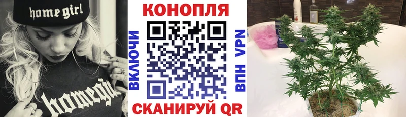 Бошки марихуана ГИДРОПОН  Купить закладки  Барабинск 